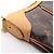 Borsa a Spalla Louis Vuitton Thames PM Marrone - vista 12