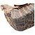 Borsa a Spalla Fendi Zucca Marrone Nero - vista 9