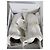 Dior Teddy-D Scarpe Oxford Pelle Bianco e Nero Bianco sporco - vista 10