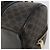 Céline Borsa Boston Mini CELINE Macadam Canvas PVC Nero Oro Auth 190399A D'oro - vista 13