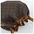LOUIS VUITTON Monogram Petit Noe Shoulder Bag M42226 LV Auth 191632 Monogramma - vista 6