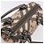 Borsa a mano BURBERRY Nova Check PVC 2way Beige Auth gh2159A - vista 6