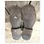 Frye Leder Stiefeletten Braun - Ansicht 10