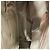 Borsa Antigona Givenchy in pelle beige Marrone - vista 12