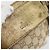 Marsupio GUCCI GG Canvas Beige Oro 28566 Auth ka5124 D'oro - vista 10