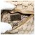 Marsupio GUCCI GG Canvas Beige Oro 28566 Auth ka5124 D'oro - vista 19