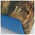 LOUIS VUITTON Masters Collection Palm Springs PM Backpack M43335 Auth BSZ693SAM Blu - vista 14