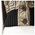 Chaqueta Bomber Gucci Madonna de piel de vaca Castaño Caqui - vista 14