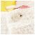 Chanel Soft Tweed 2way Set Mehrfarben - Ansicht 7