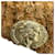 Timeless Chanel Alpaca Linen Blend Stole Brown Beige  - view 4