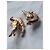 Schiaparelli Crystal Gilded Dove Ohrringe Golden - Ansicht 13