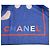 Sciarpa Chanel G19 in misto cotone e seta con motivo floreale blu - vista 6