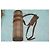 Borsa cilindrica Burberrys Haymarket Check Marrone Beige - vista 7