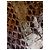 Top de seda con estampado de serpiente Roberto Cavalli con detalle de serpiente dorado Castaño Impresión de pitón Gold hardware - vista 4