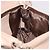 Chloé Borsa Chloe Lily in Pelle 2way Beige Oro Auth hk3885 D'oro - vista 23