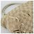 Borsa Tote GUCCI GG Canvas Abbey Beige Oro 189831 Auth BA13928A D'oro - vista 14