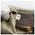 PRADA Chain Tote Bag Nylon Grau Gold Auth ar14053V Braun Golden - Ansicht 12