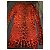 Dolce & Gabbana Strick-Cardigan Leopard Print Rot Leopardenprint - Ansicht 2