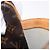 Louis Vuitton Reporter Monogram PM Marrone - vista 7