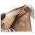 Hermès Borsa a tracolla Hermes Evelyne 3 Trois PM Marrone Taupe - vista 8