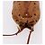 Borsa a Spalla MCM Vicetos Logogram PVC Pelle Marrone Oro Auth hk3898 D'oro - vista 6