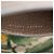 Borsa a tracolla Gucci GG Supreme Ophidia Grommet Medium Chain Marrone Beige - vista 6