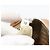 Borsa a Spalla PRADA Nylon Beige Argento Auth 192786 - vista 23