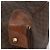 Céline Bolsa Boston CELINE em tela Macadam PVC Couro Marrom Ouro Auth 190906 Dourado - vista 12