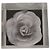 Autre Marque Spilla ANAYI Flower Marrone - vista 6