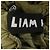 Autre Marque Pantaloni Liam Hodges Verde Cachi - vista 4
