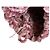 Autre Marque Strickjacke chambre de charme Pink - Ansicht 10