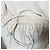 Autre Marque Short Auralee High Count Finx Ox Bege - vista 7
