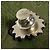 Gucci Spilla Cuori Incastrati Argento D'oro - vista 7