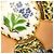 Chanel Spilla Medaglia a Fiore in Smalto Multicolore D'oro - vista 5