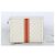 Gucci Clutch Ophidia GG Supreme Multicolore - vista 2