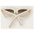 Céline Gafas de sol Triomphe en acetato marfil Blanco - vista 3