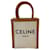 Céline Condizioni Cabas Mini Bag Multicolore