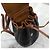 Céline Mini Triumph Canvas Polco Rucksack Silber - Ansicht 5