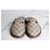 Gucci Mule Horsebit Multicolore - vista 5