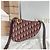 Dior Borsa a tracolla Christian Oblique Saddle Rosso - vista 2