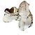 Gucci Sneakers Flash Track Crystal Bianco - vista 4