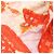 Louis Vuitton Giacca a vento Monogram Bandana da uomo Arancione - vista 5