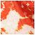 Louis Vuitton Giacca a vento Monogram Bandana da uomo Arancione - vista 6