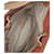 Céline Borsa a tracolla Macadam beige Marrone - vista 12