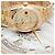 Rolex Relógio Day-Date em ouro para homem Original com diamantes de dez pontos - vista 25