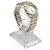 Omega Reloj de mujer de cuarzo Constellation Combi con esfera de nácar y diamantes Multicolor - vista 5