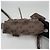 Balenciaga Borsa a tracolla BB Monogram Le Cagole in jacquard Argento - vista 7