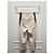 Gucci Pantaloni in cotone GG Supreme Web Stripe Bianco - vista 4