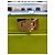 Fendi Piccola borsa tote a tracolla Peekaboo ISeeU Verde - vista 21