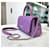Chanel Caviar Coco Handle Mini Purple Porpora  - vista 4